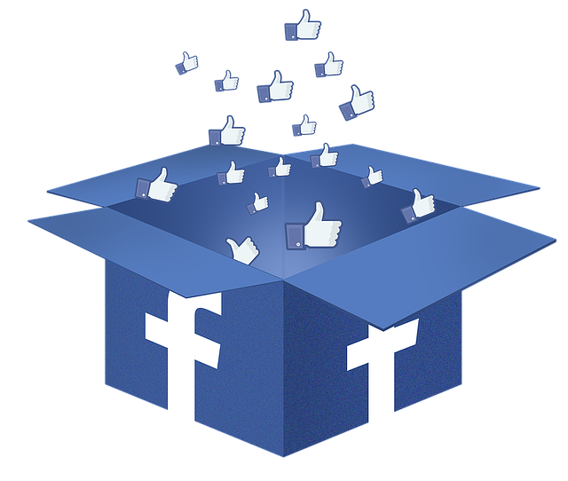 facebook box