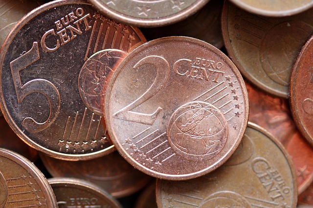 mince EU